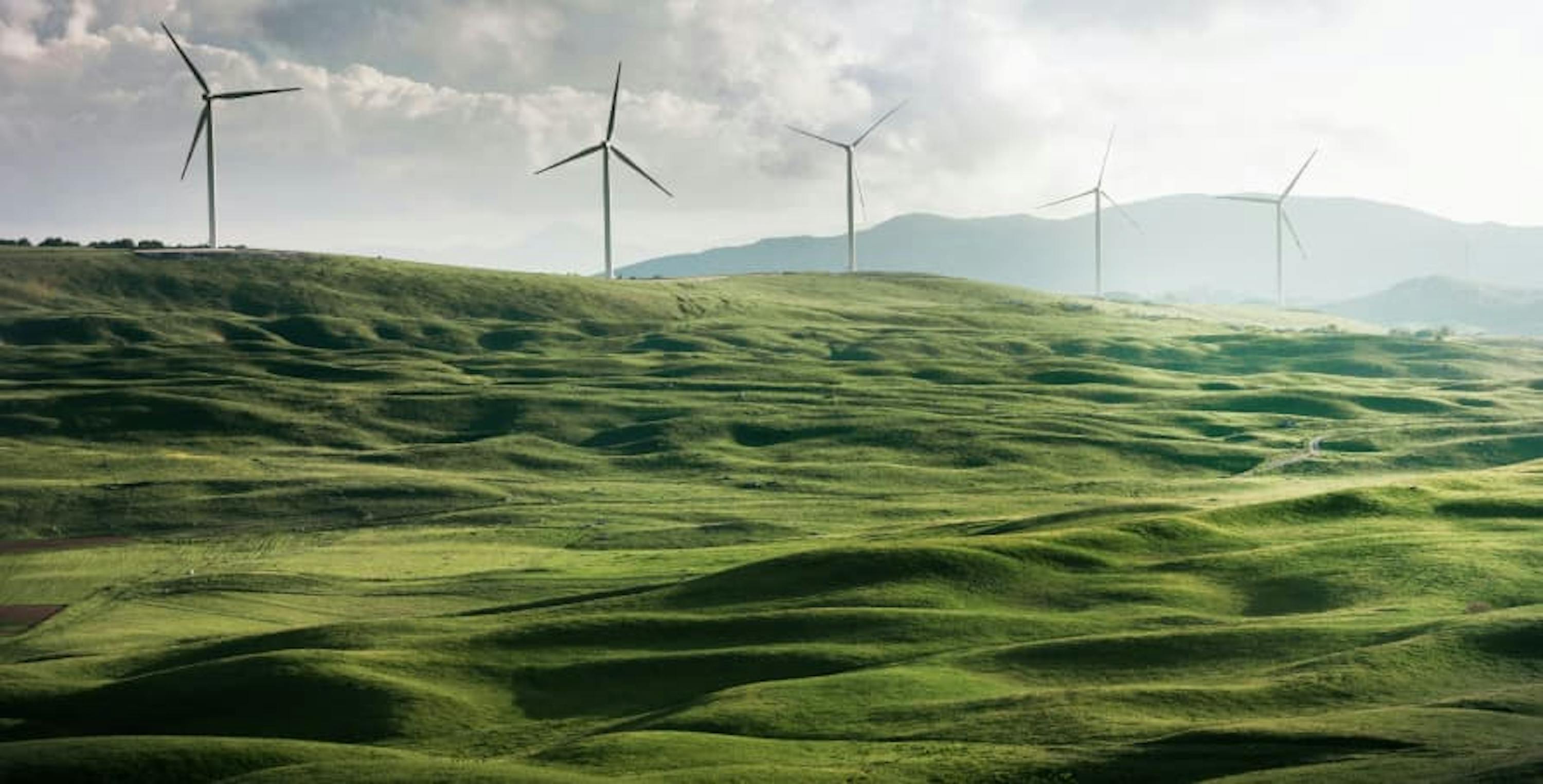 wind farm in green field