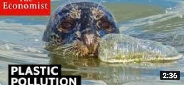 plastic pollution the economist thumbnail