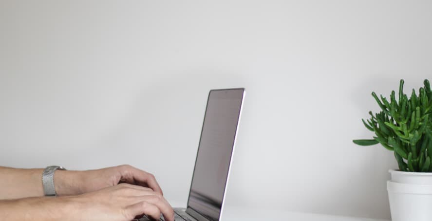 laptop next to potted plant