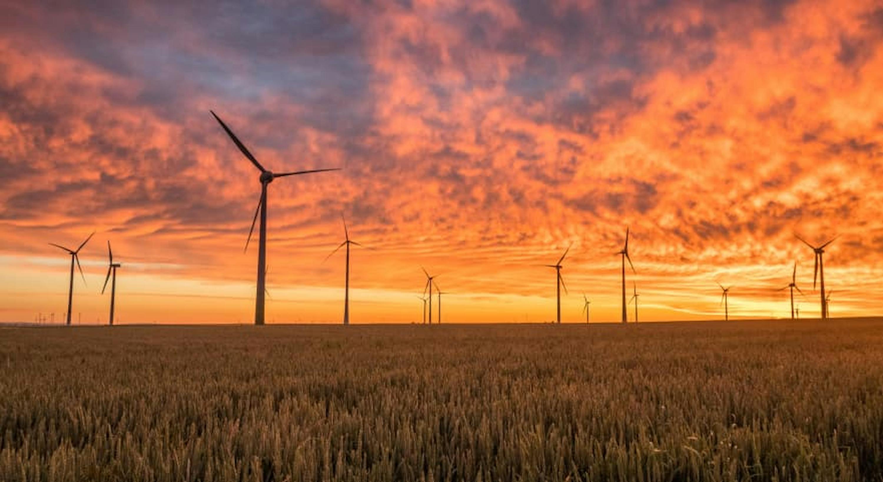 wind turbines in sunset