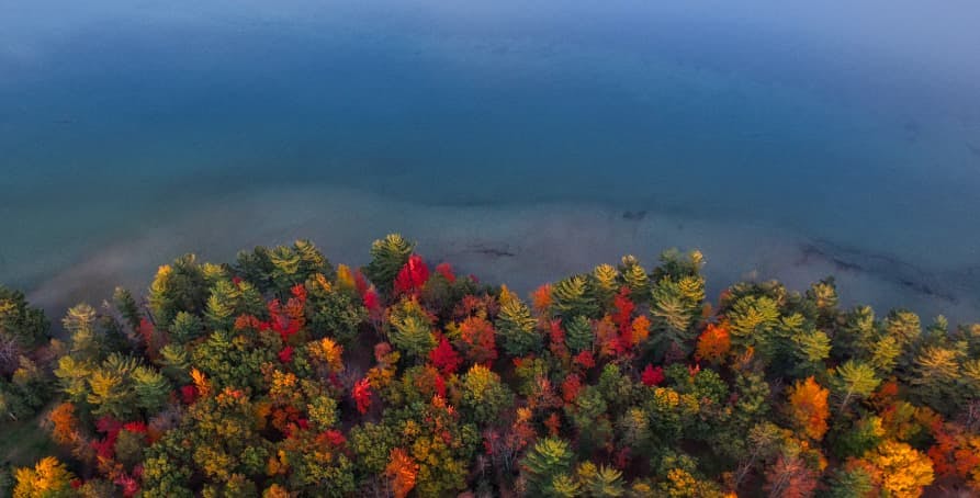 autumn forest on coast of Michigan