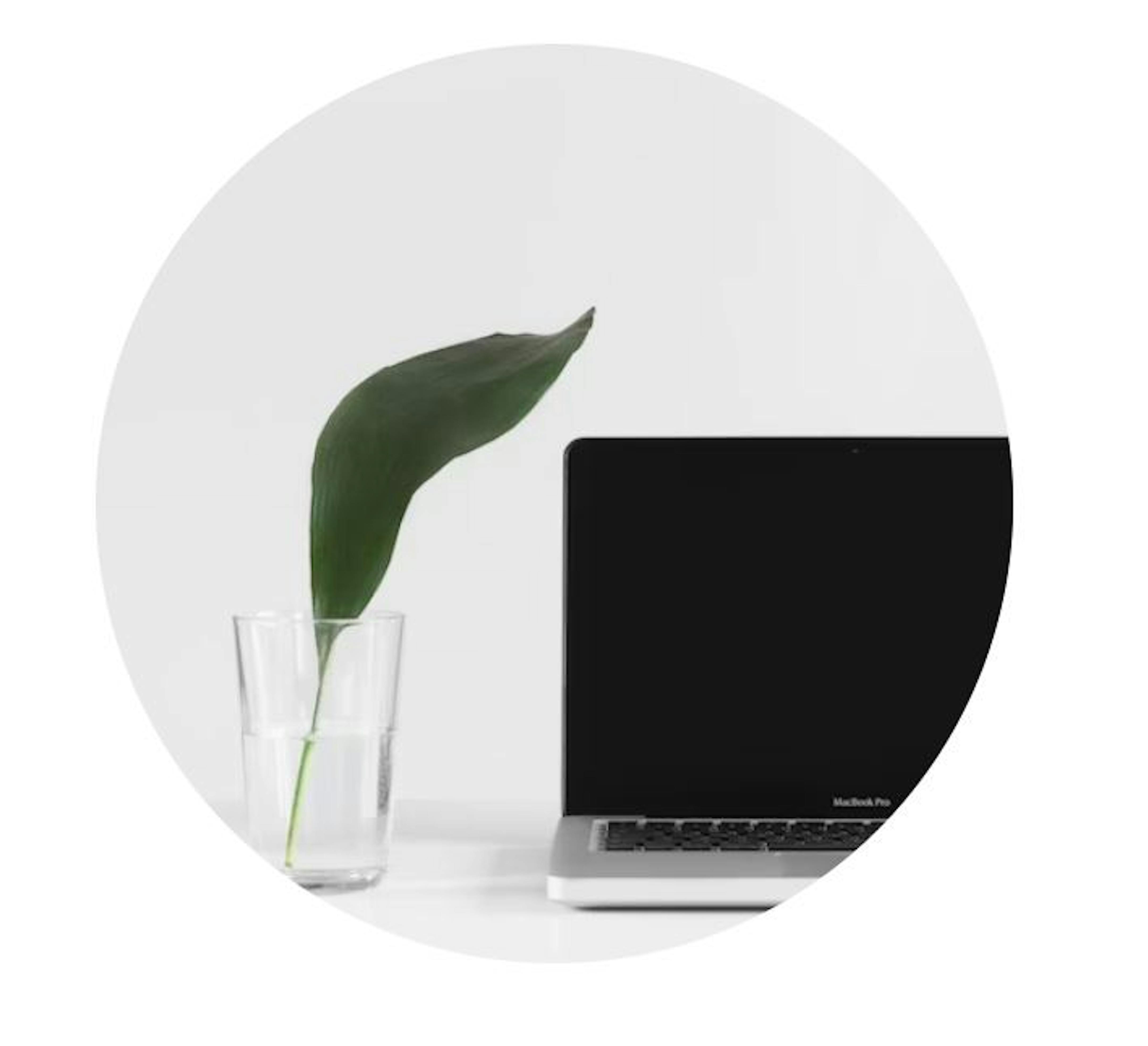 Dc2a9ac9 1e43 4bcd 850f 40c3e43dd31a footgreen image