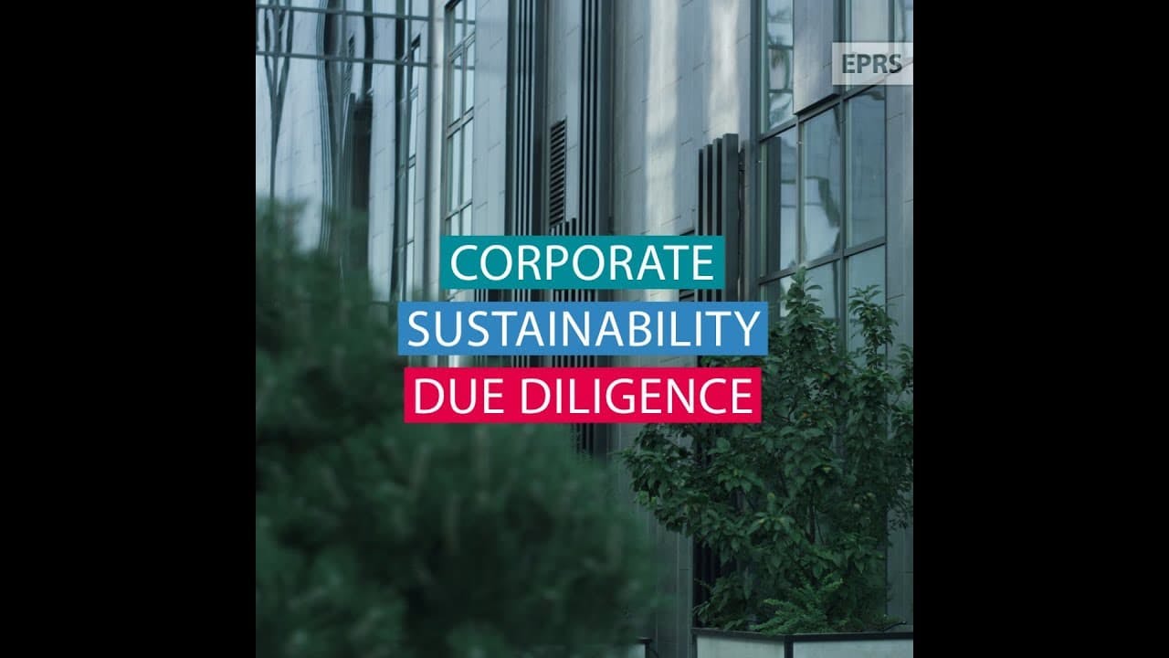 corporate sustainability due diligence