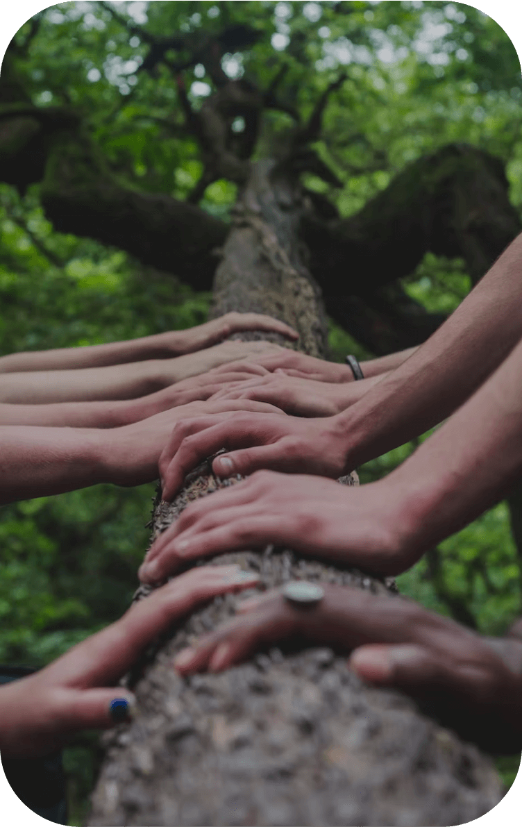 Photos de main sur un tronc d'arbre