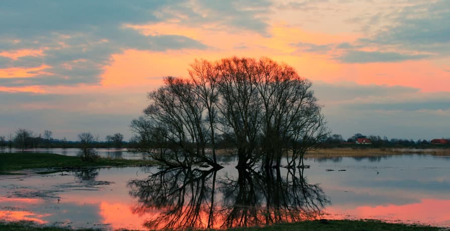 flooded countryside