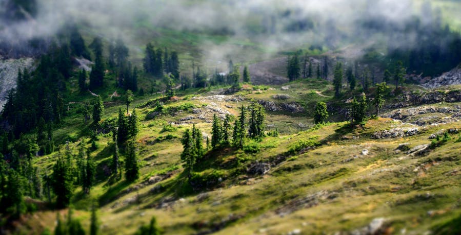 E5451cf8 fdf3 4bde a932 9e12e488be16 pexels blue ox studio 695299