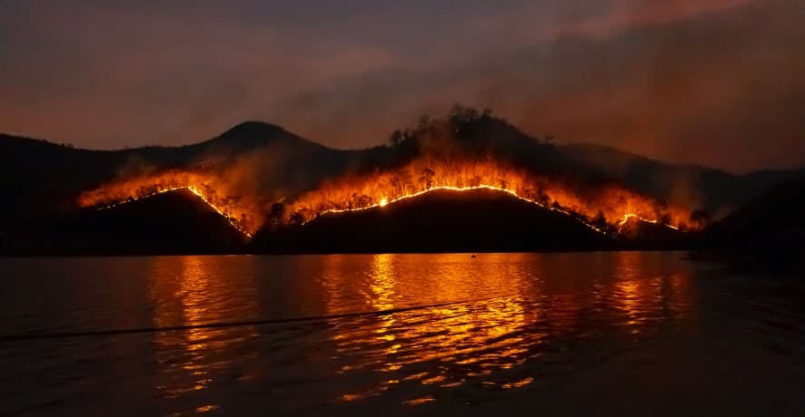 wildfires on waterside