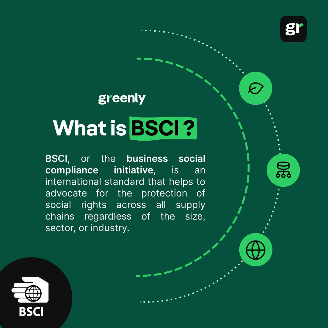 BSCI Infographic cover