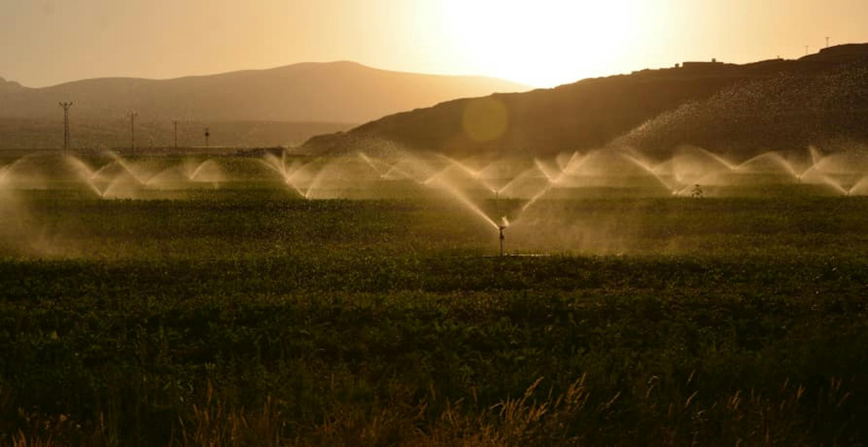 water sprinklers in field