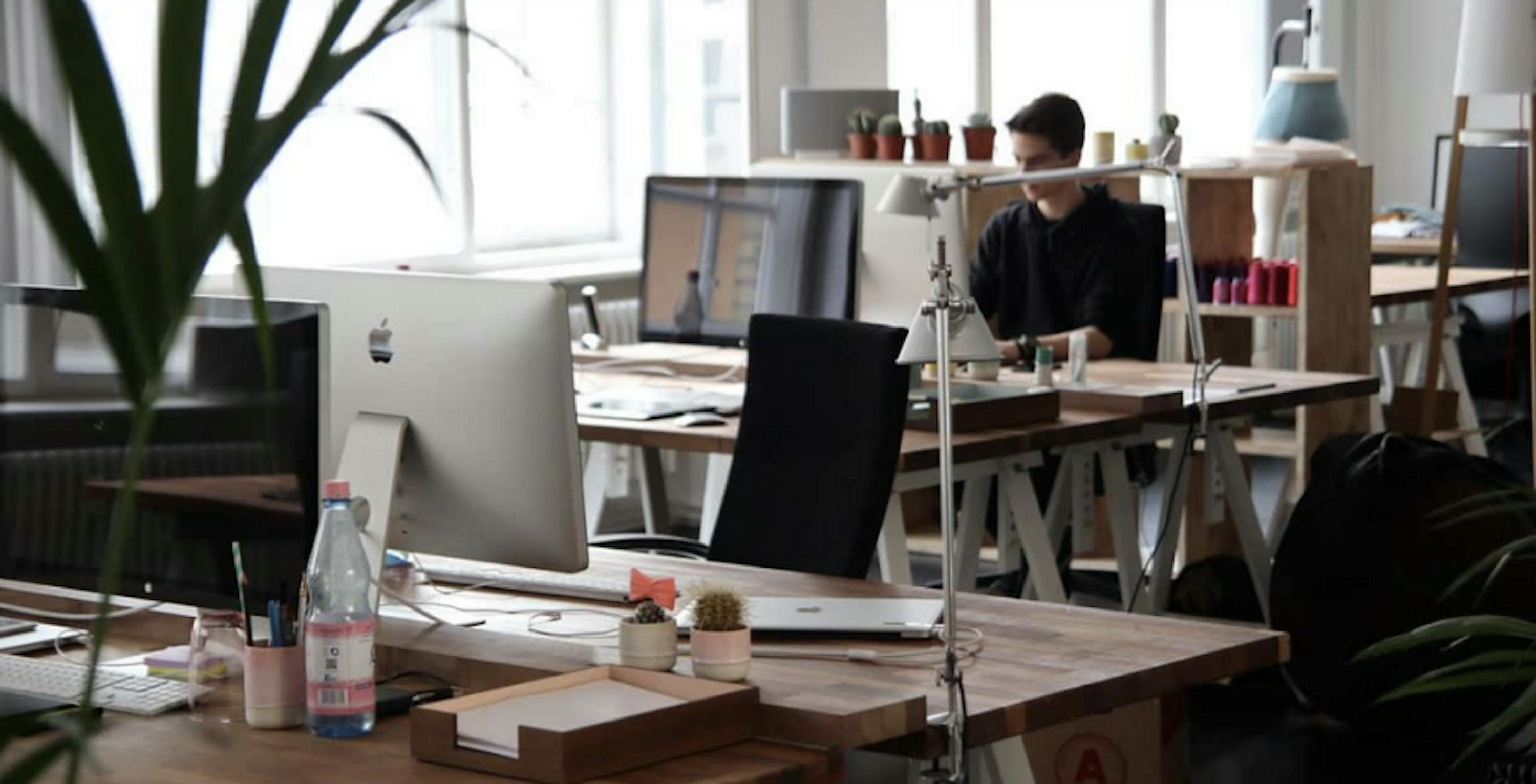 minamalist office space with big green plant