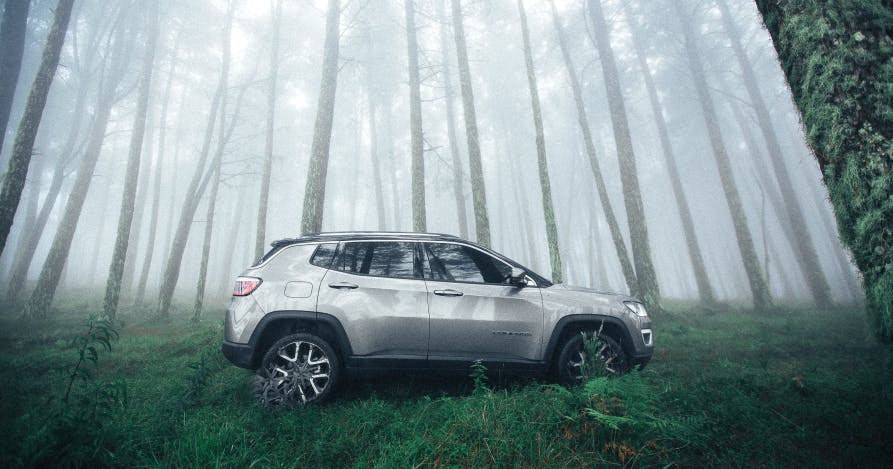 silve suv in forest
