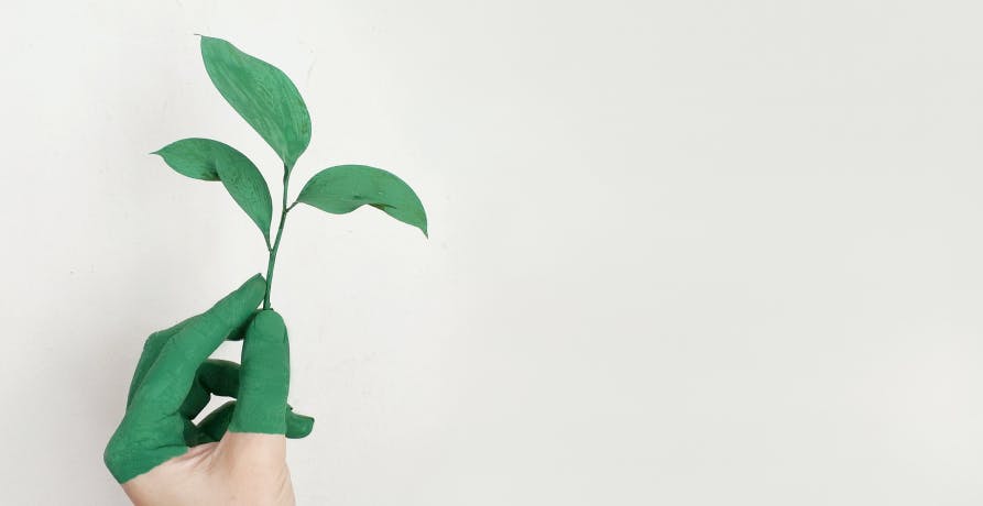 main peinte en verte tenant une plante