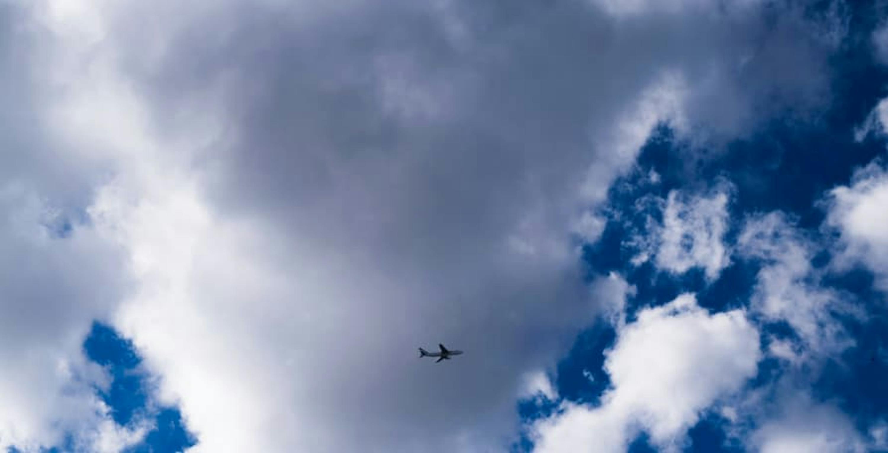 plane flying in the sky