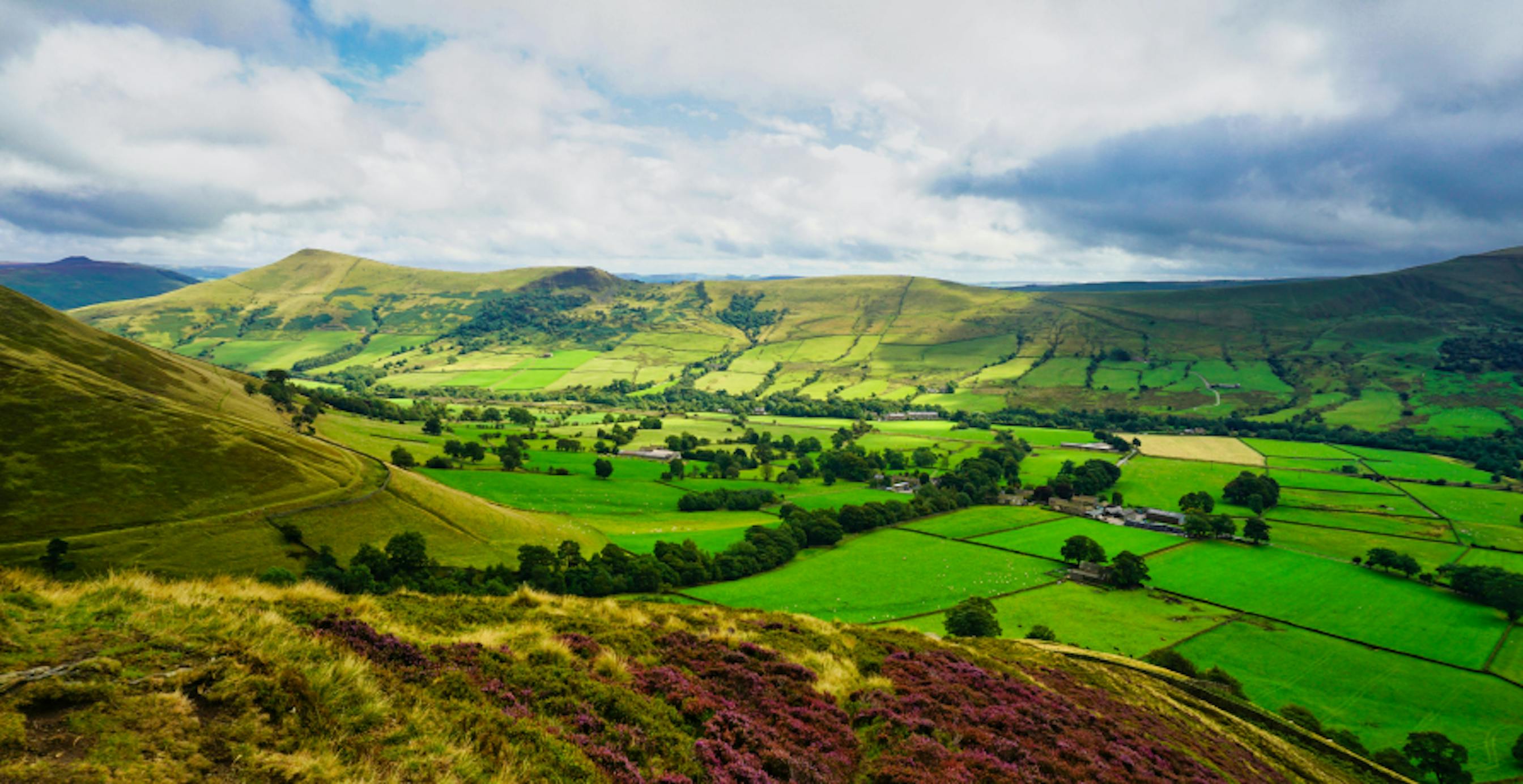 rolling country with fields