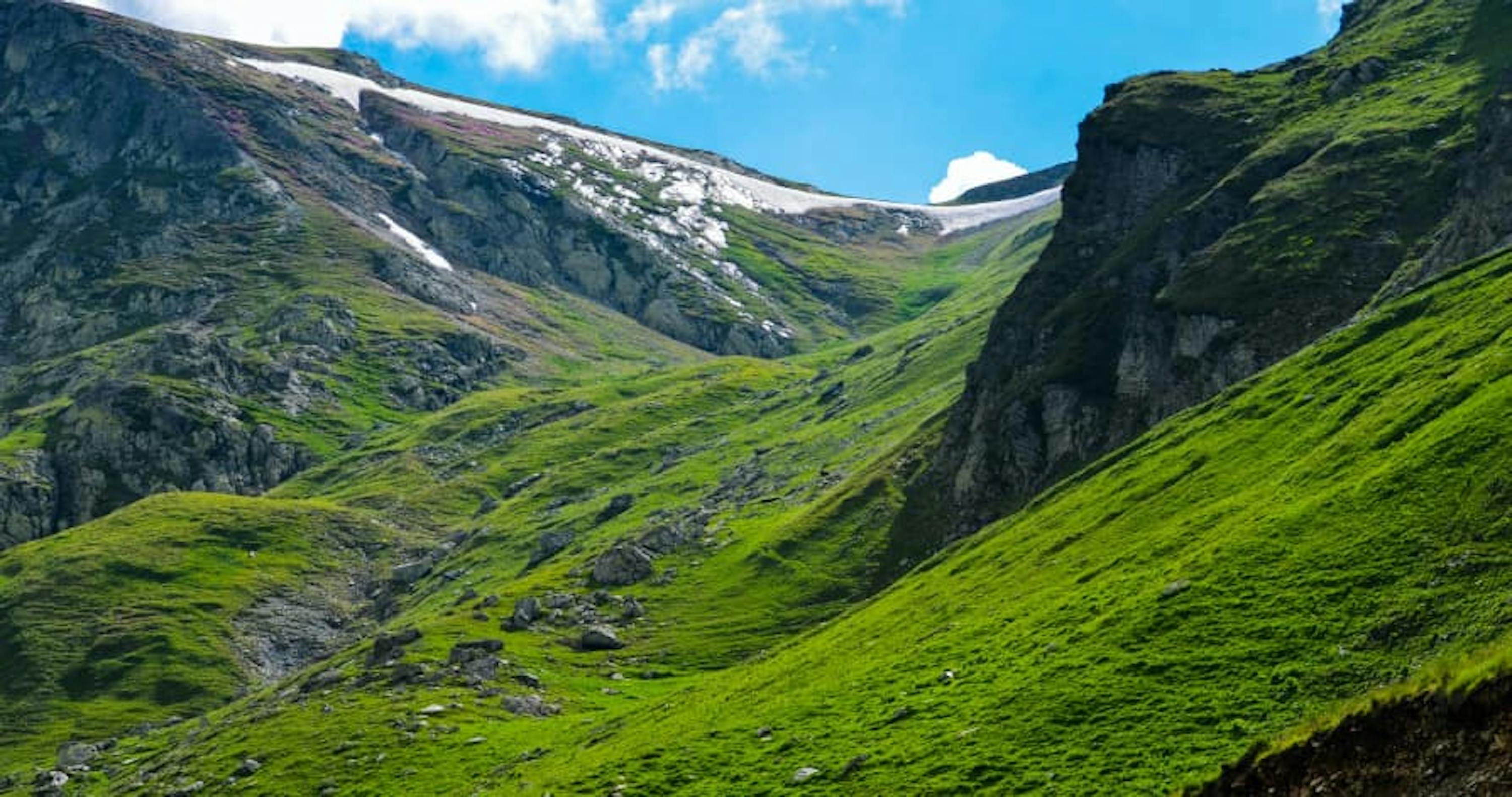 green landscape