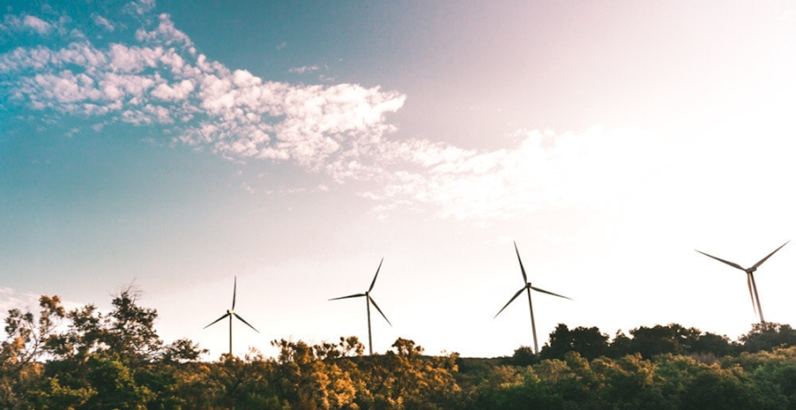 wind turbines in ombre sky
