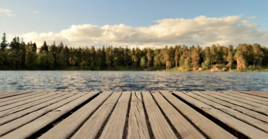 boardwalk view of lake and forest