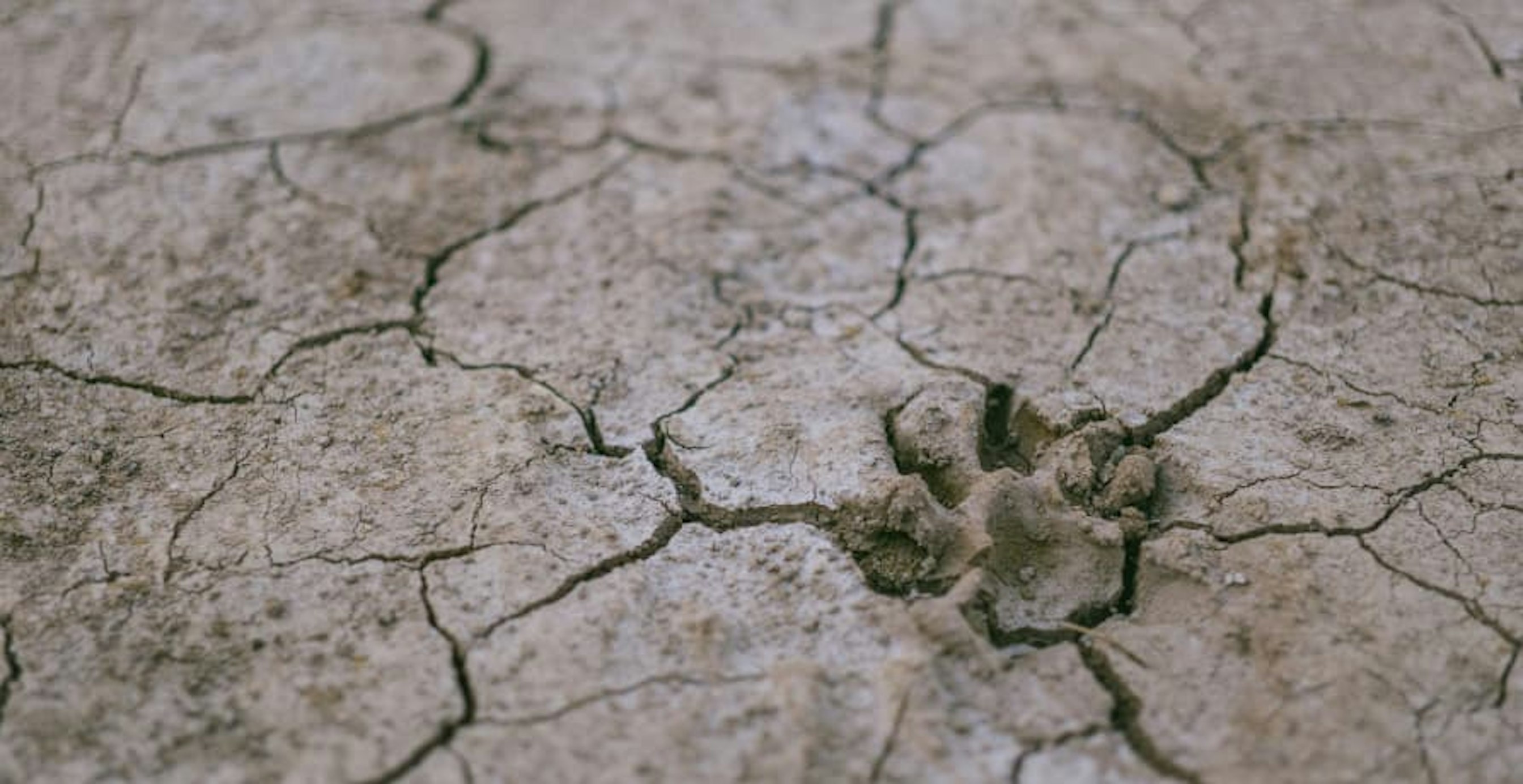 cracked dry earth
