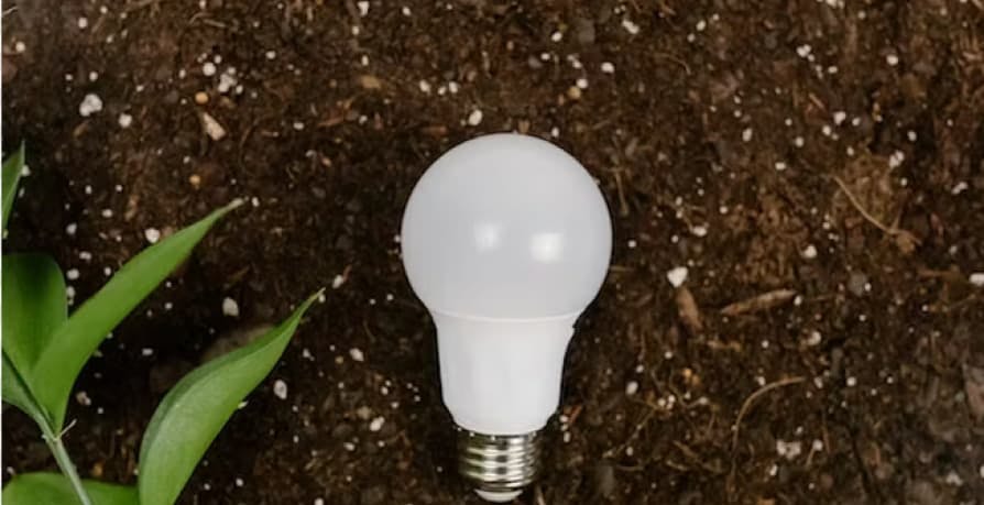 White light bulb on brown soil