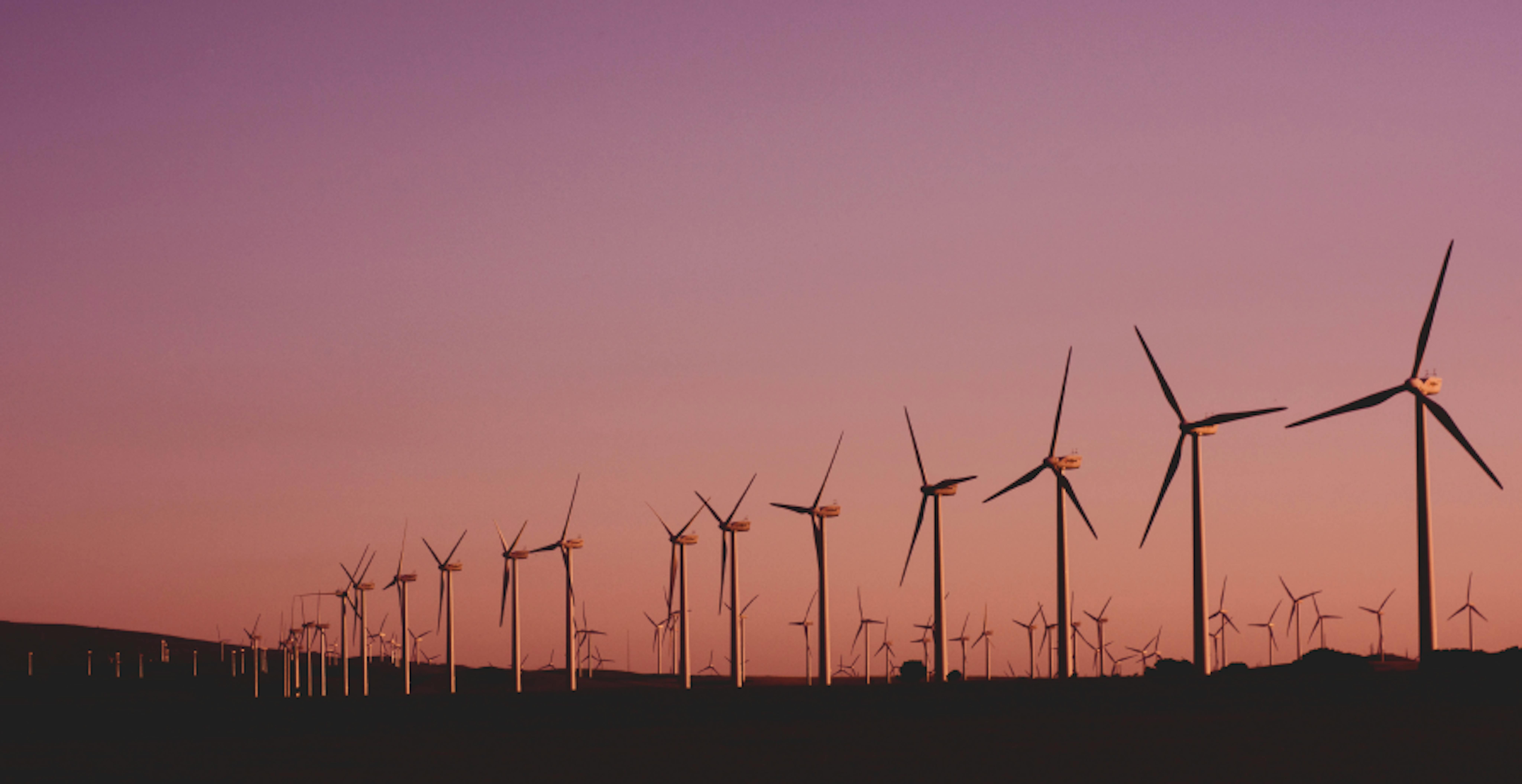 champ d'éoliennes devant un ciel rose