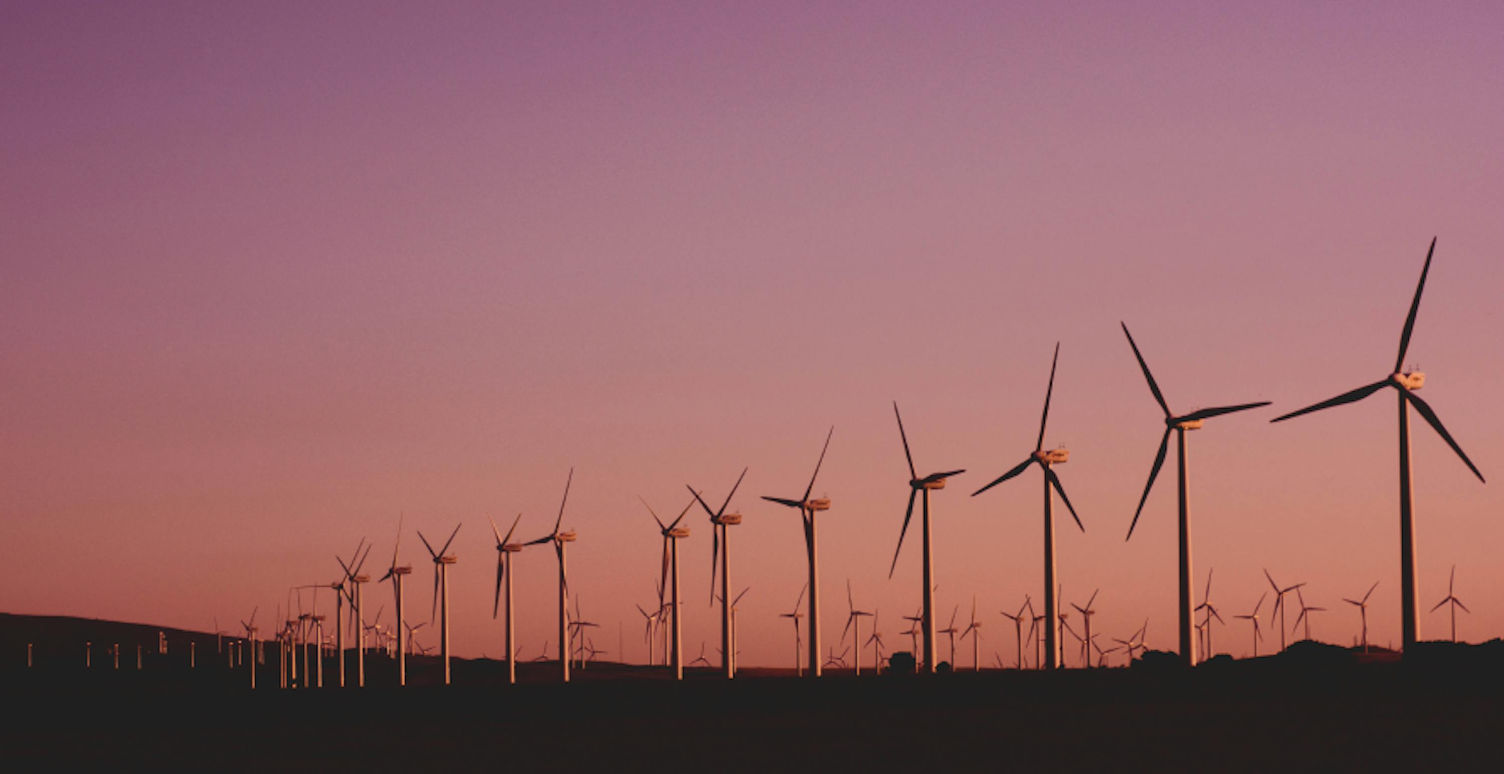 champ d'éoliennes devant un ciel rose