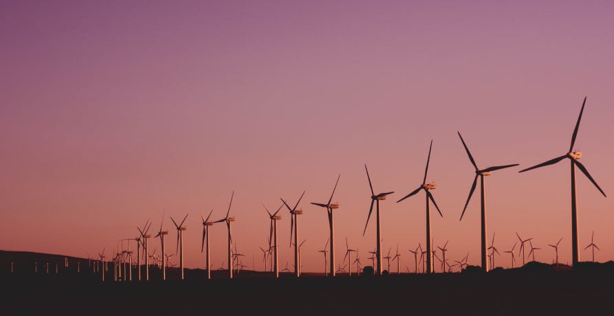 champ d'éoliennes devant un ciel rose