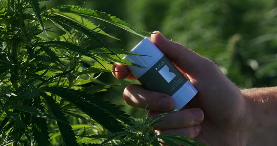 person holding product under leaves