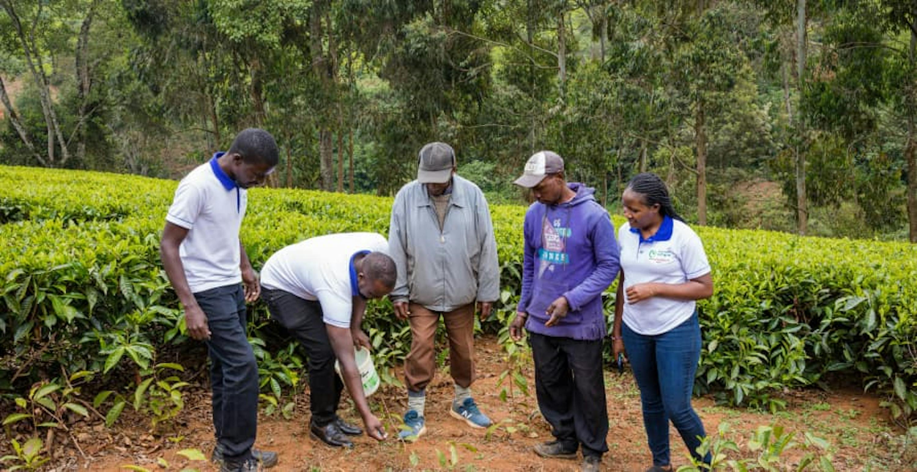 group of people discussing and observing vegetation and plants