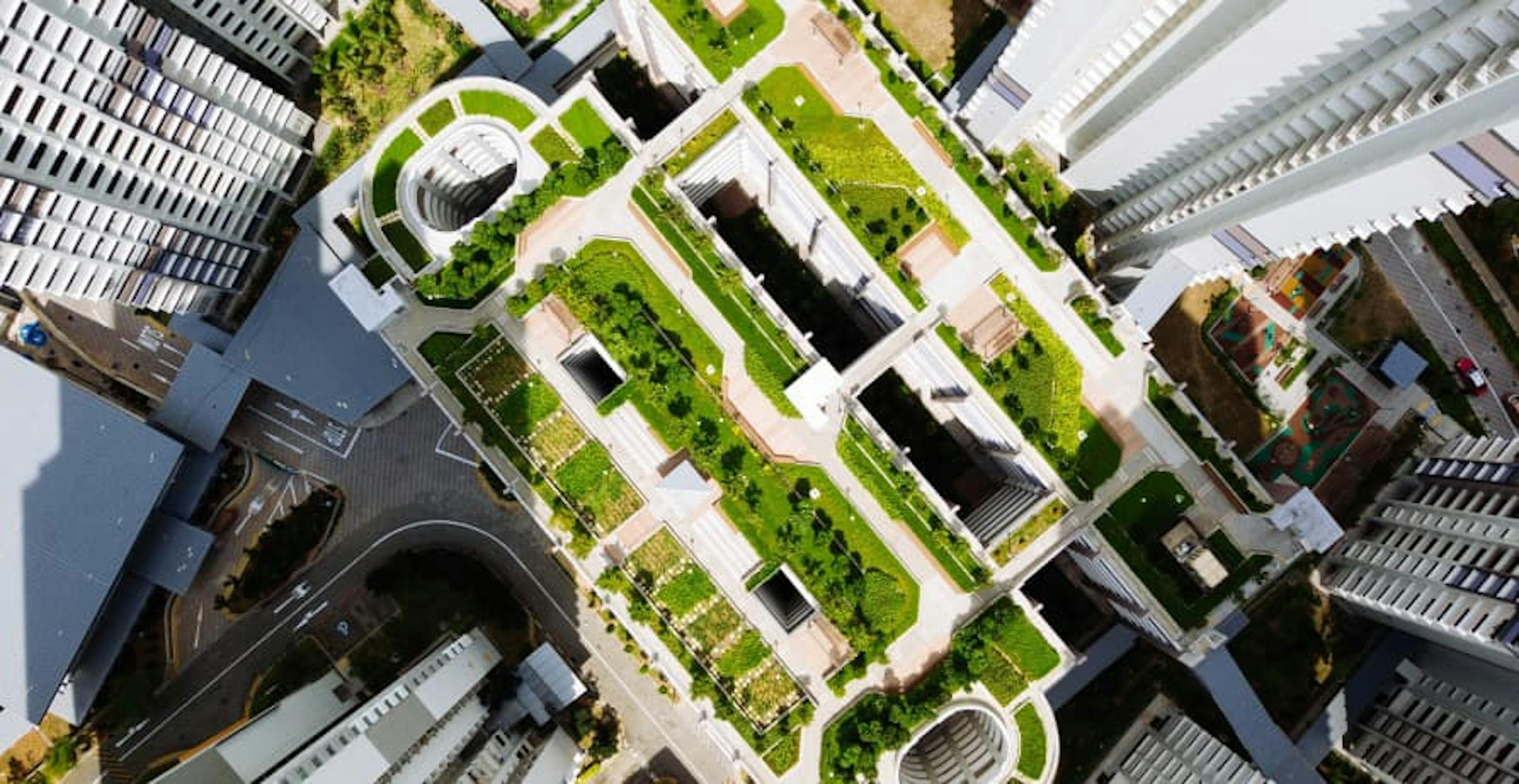 building with green rooftop