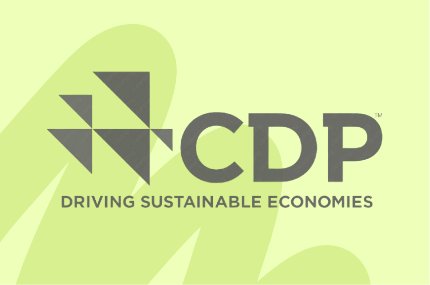 Logo CDP