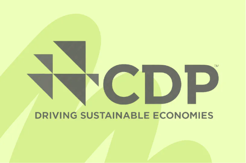 Logo CDP