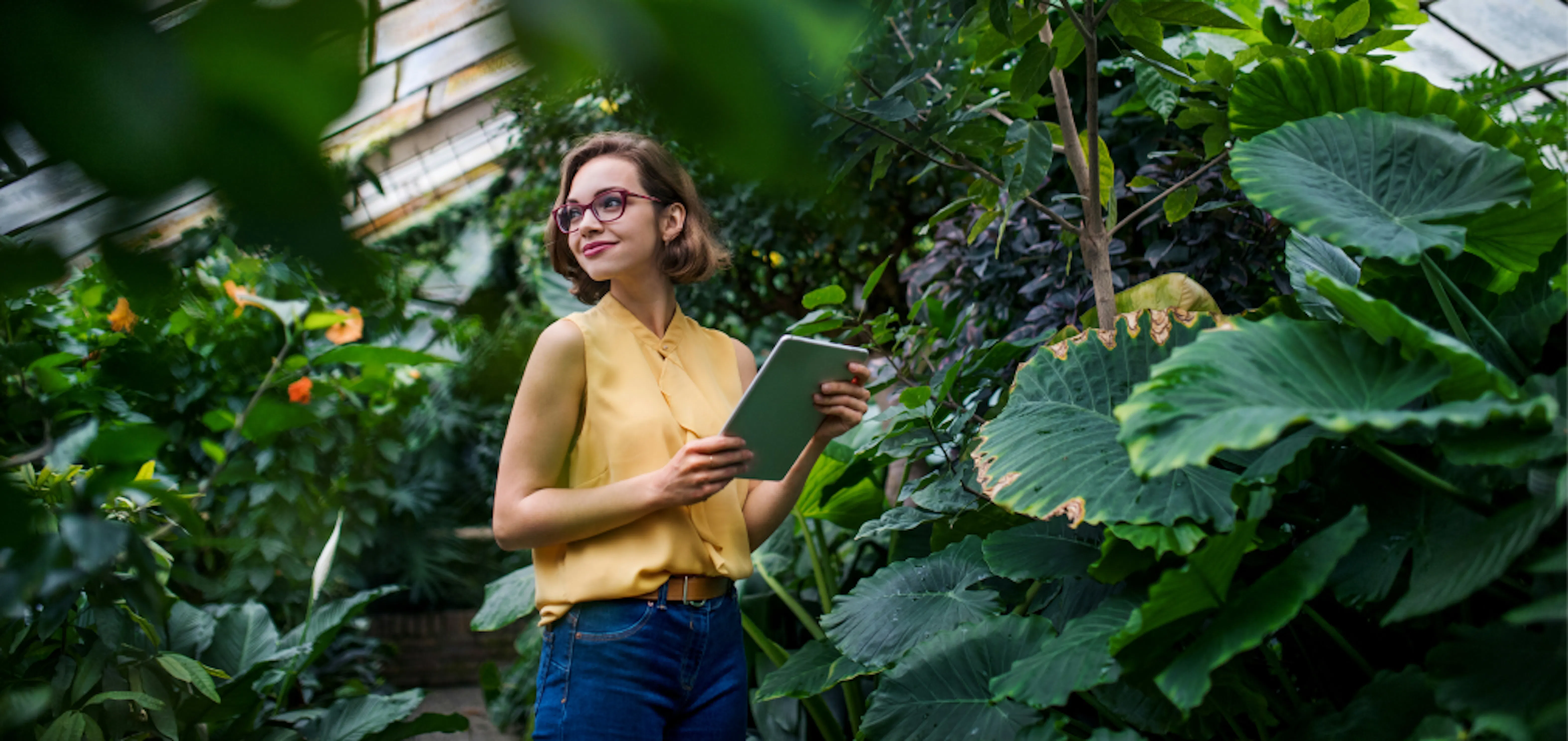 VU0OYa0CAfVTuz p girl in the greenhouse