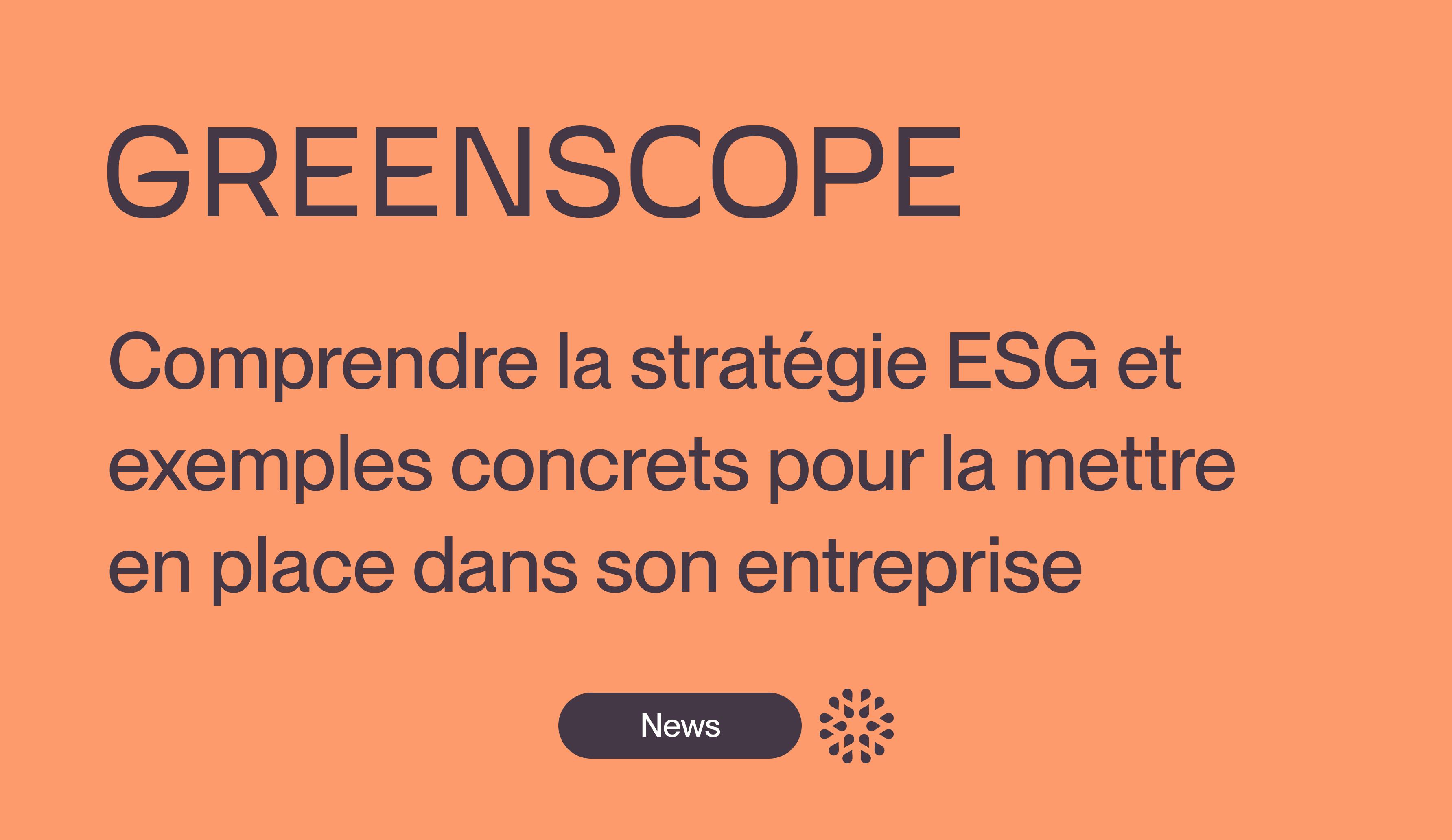 stratégie esg