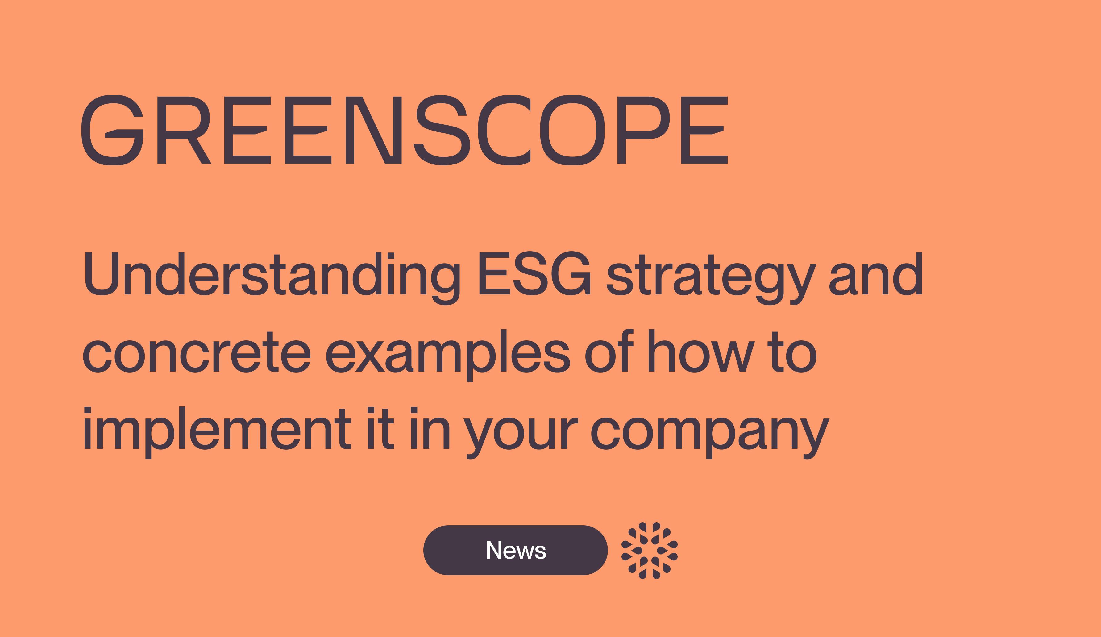 strategy ESG