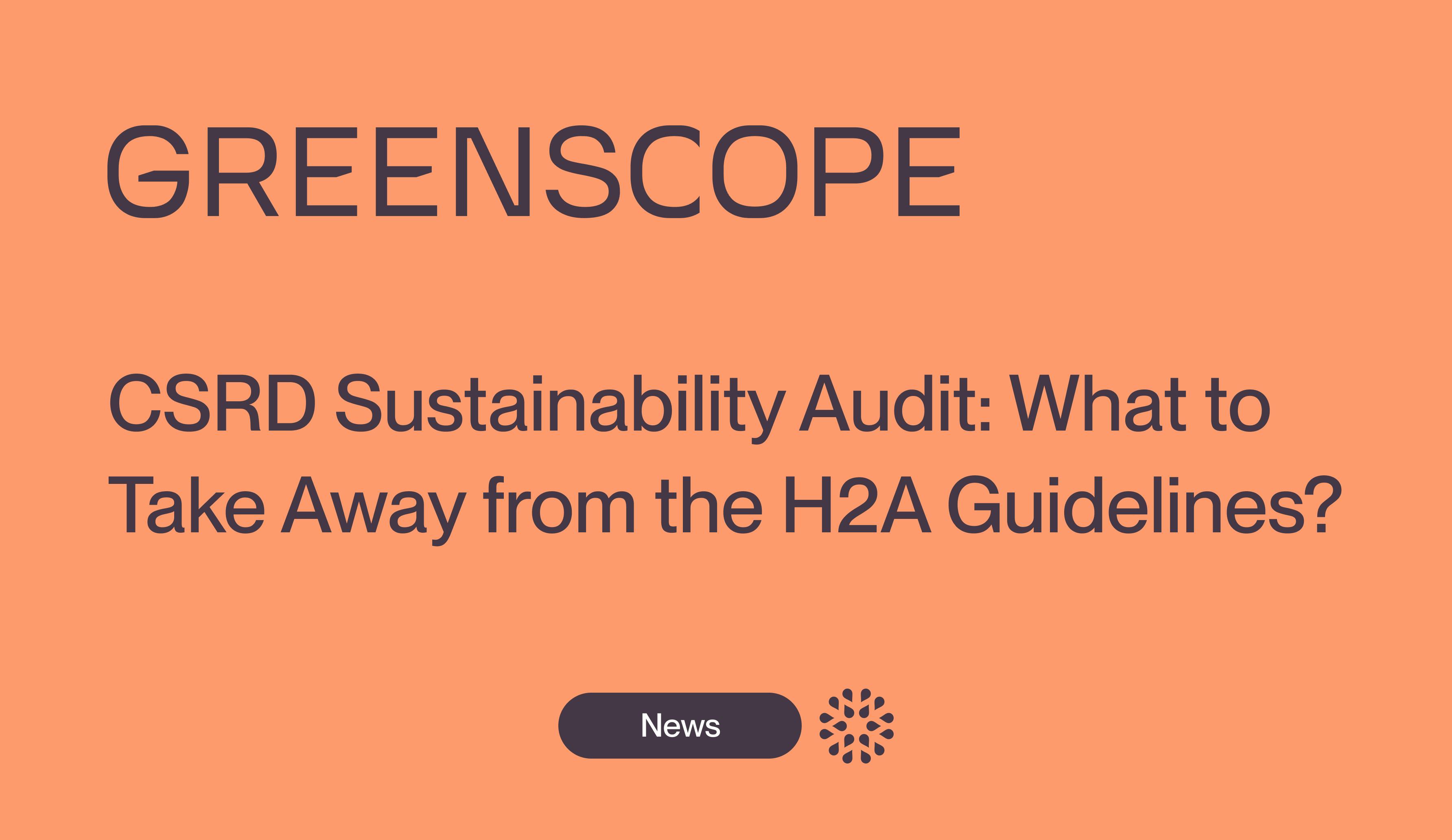 Article recommandation H2A audit ESG
