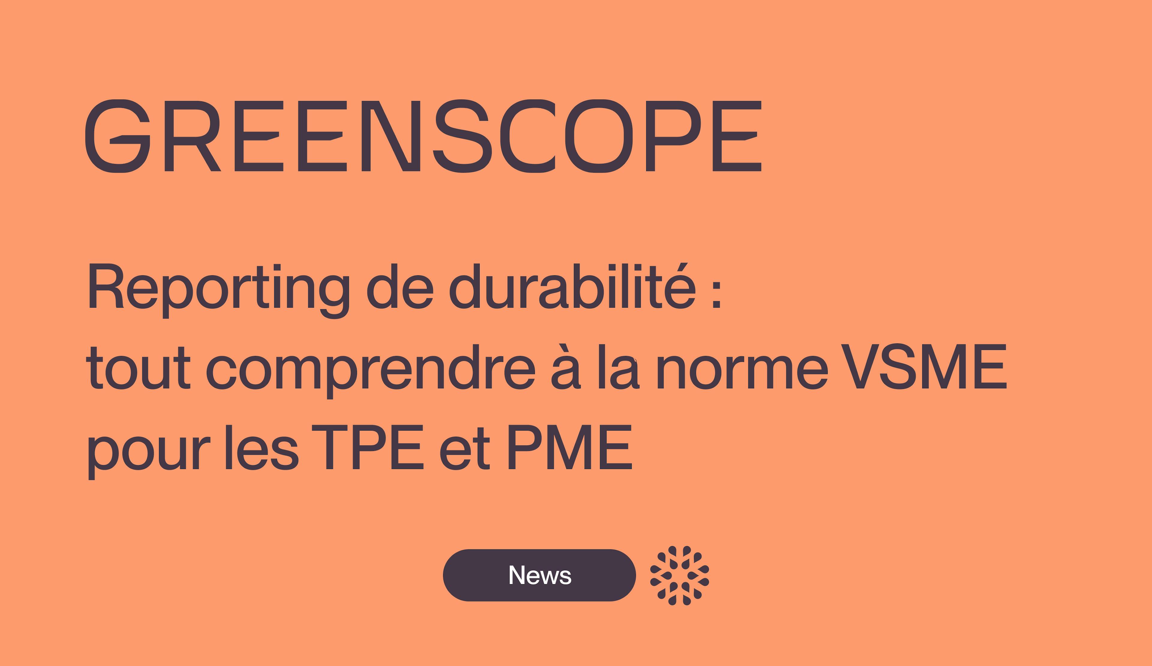 Reporting de durabilité : Tout comprendre à la norme VSME pour les TPE et PME