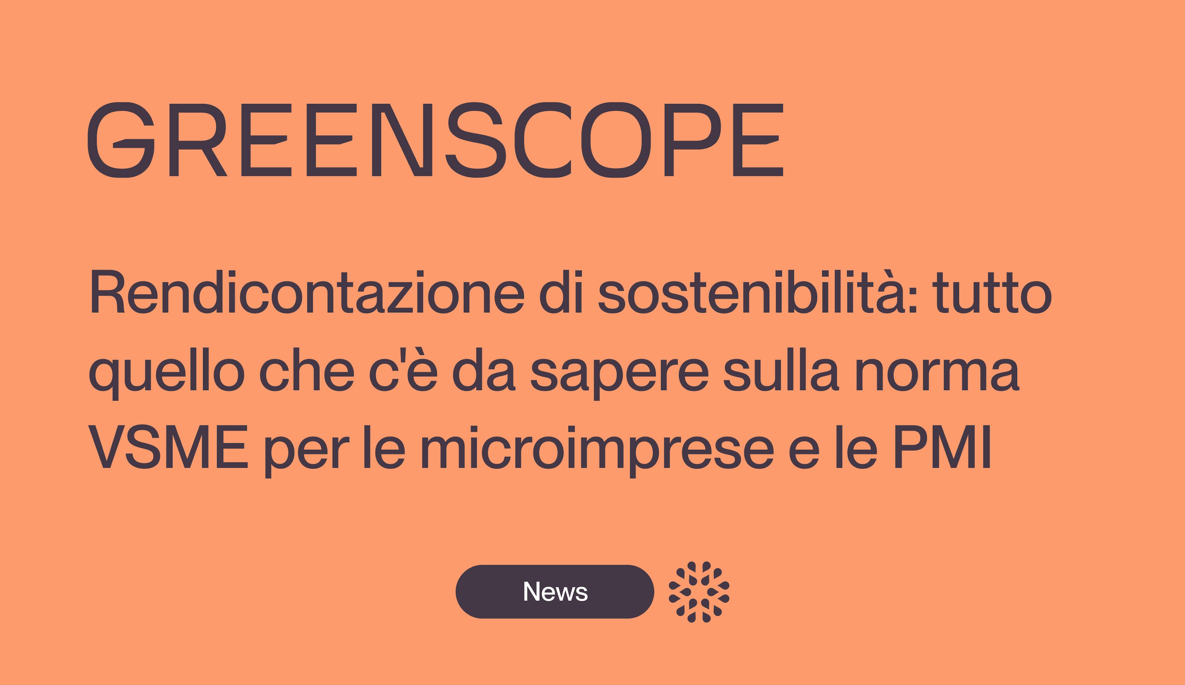 Rendicontazione di sostenibilità: comprendere completamente la norma VSME per micro, piccole e medie imprese