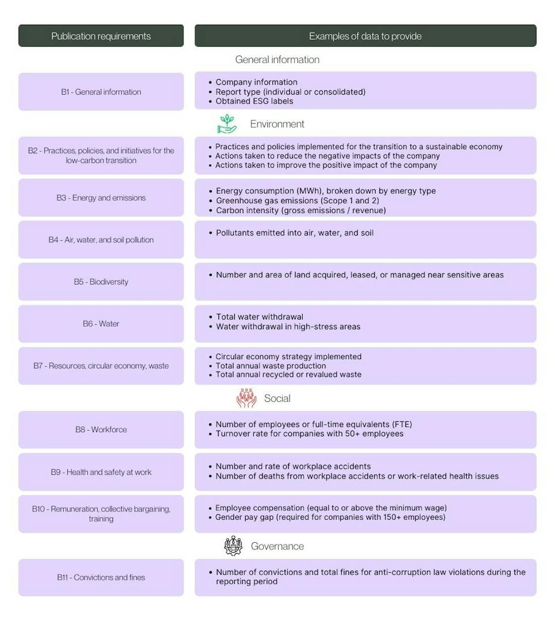 Vsme Report Example Everything you need to know about the VSME standard for SMEs