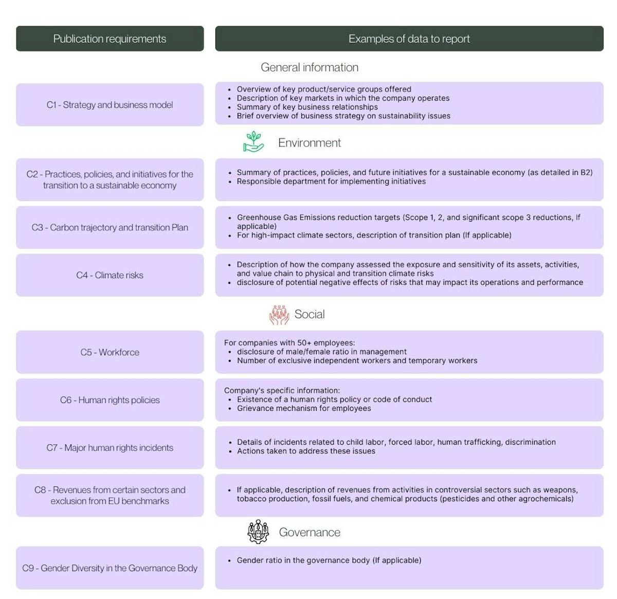 Vsme Explication Everything you need to know about the VSME standard for SMEs