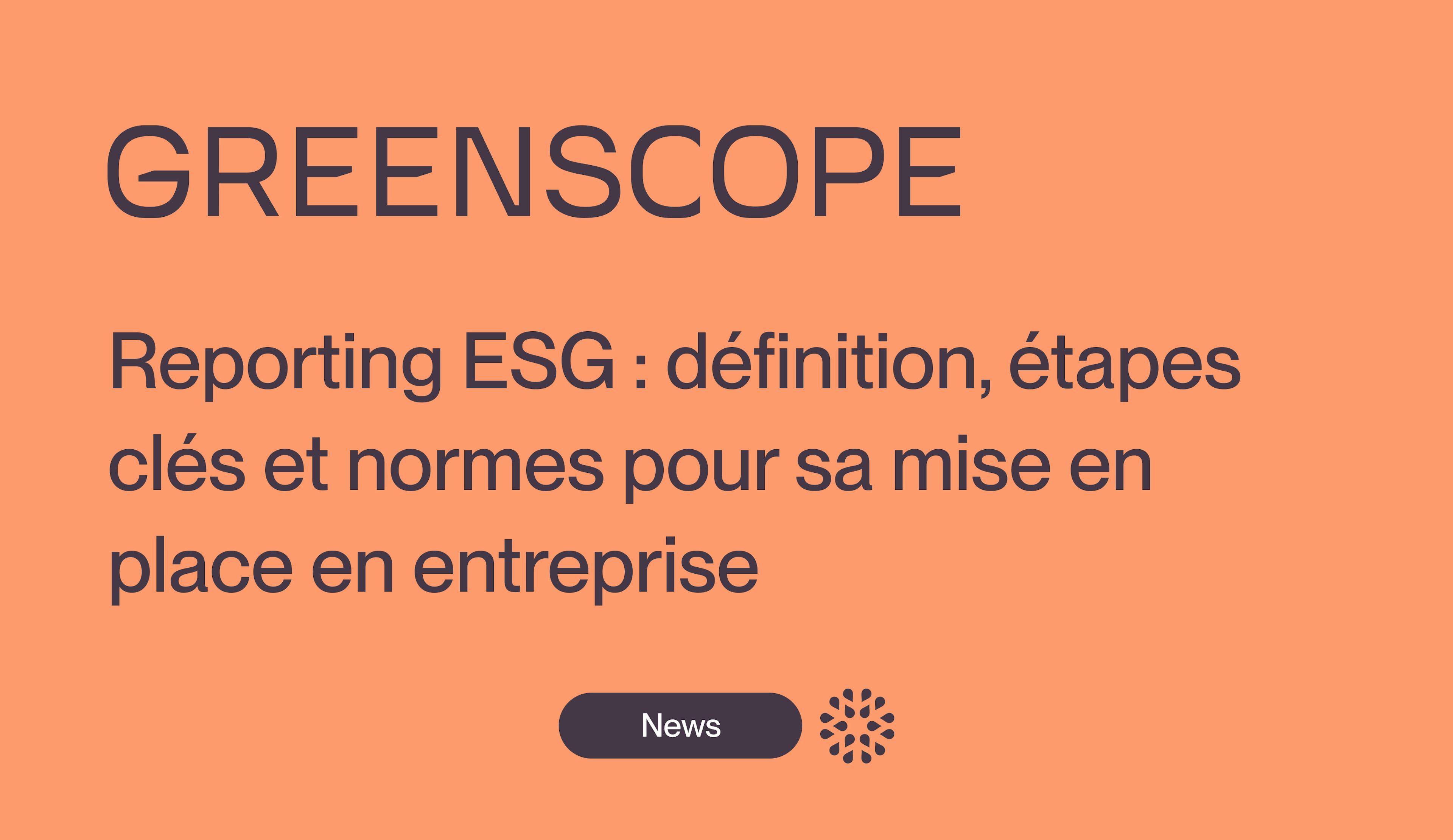 Reporting ESG définitions étapes clés normes standards