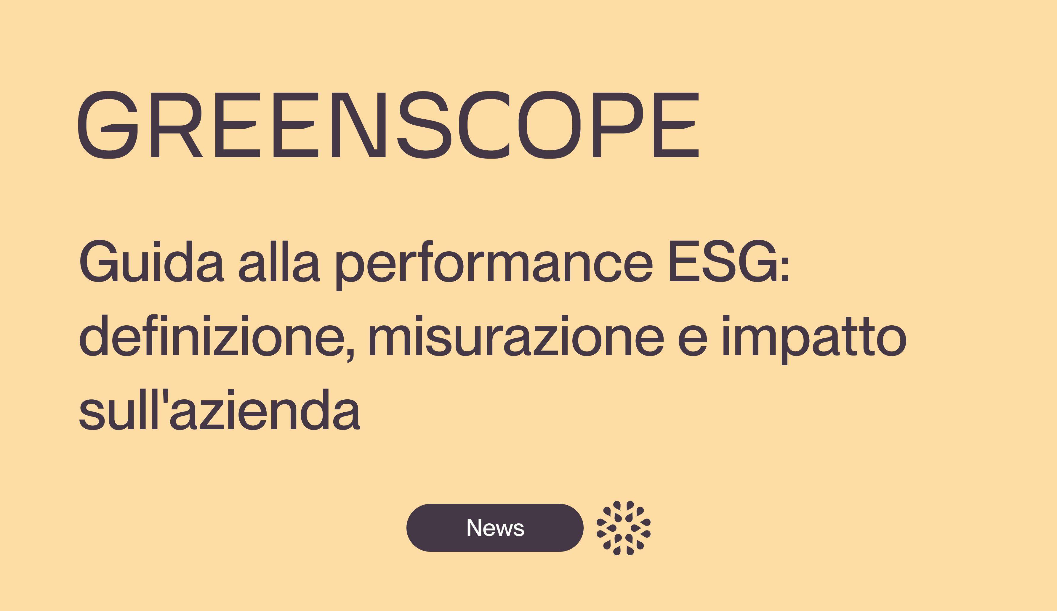 ESG performance reporting misurazione