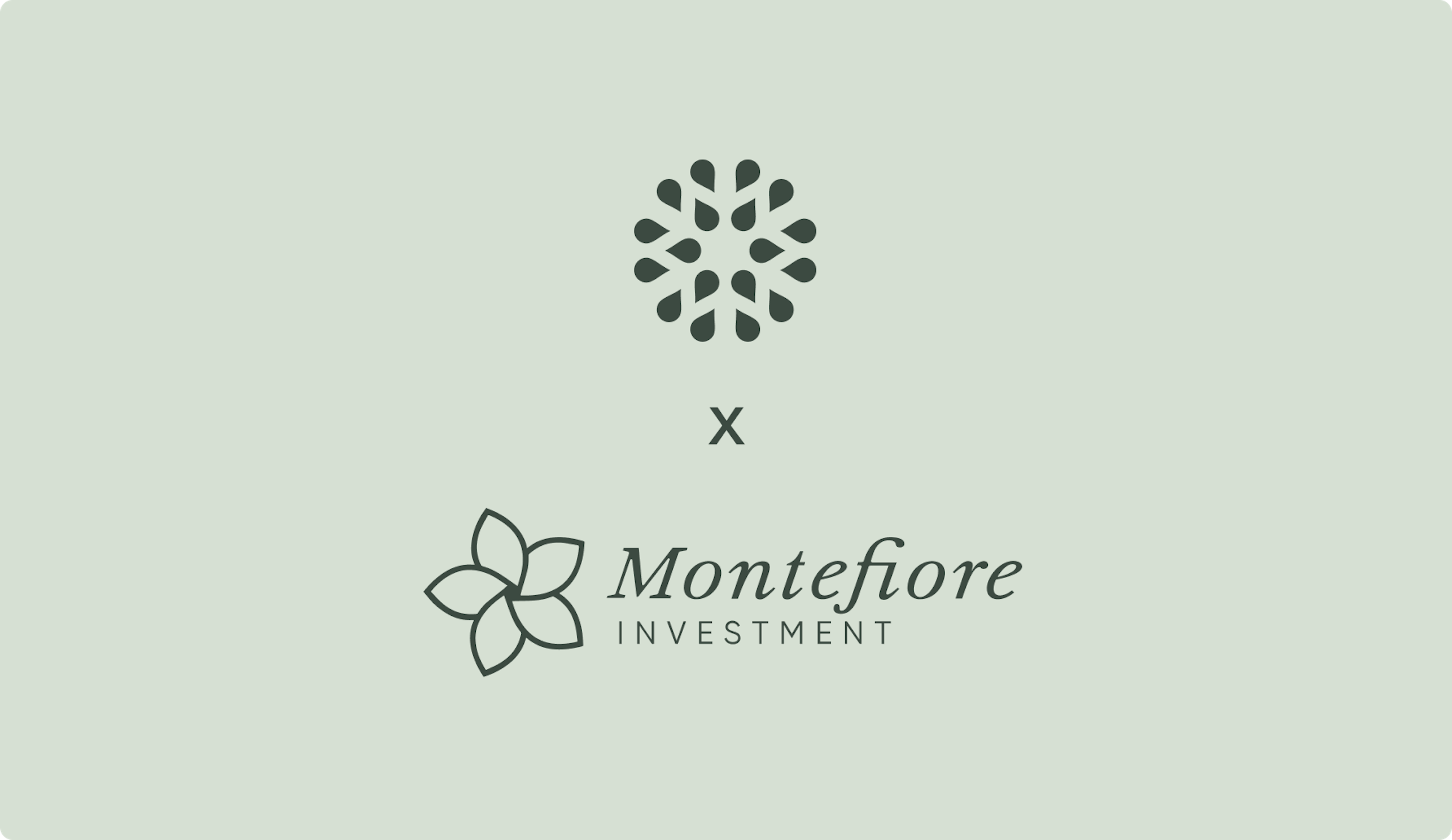 Case study montefiore