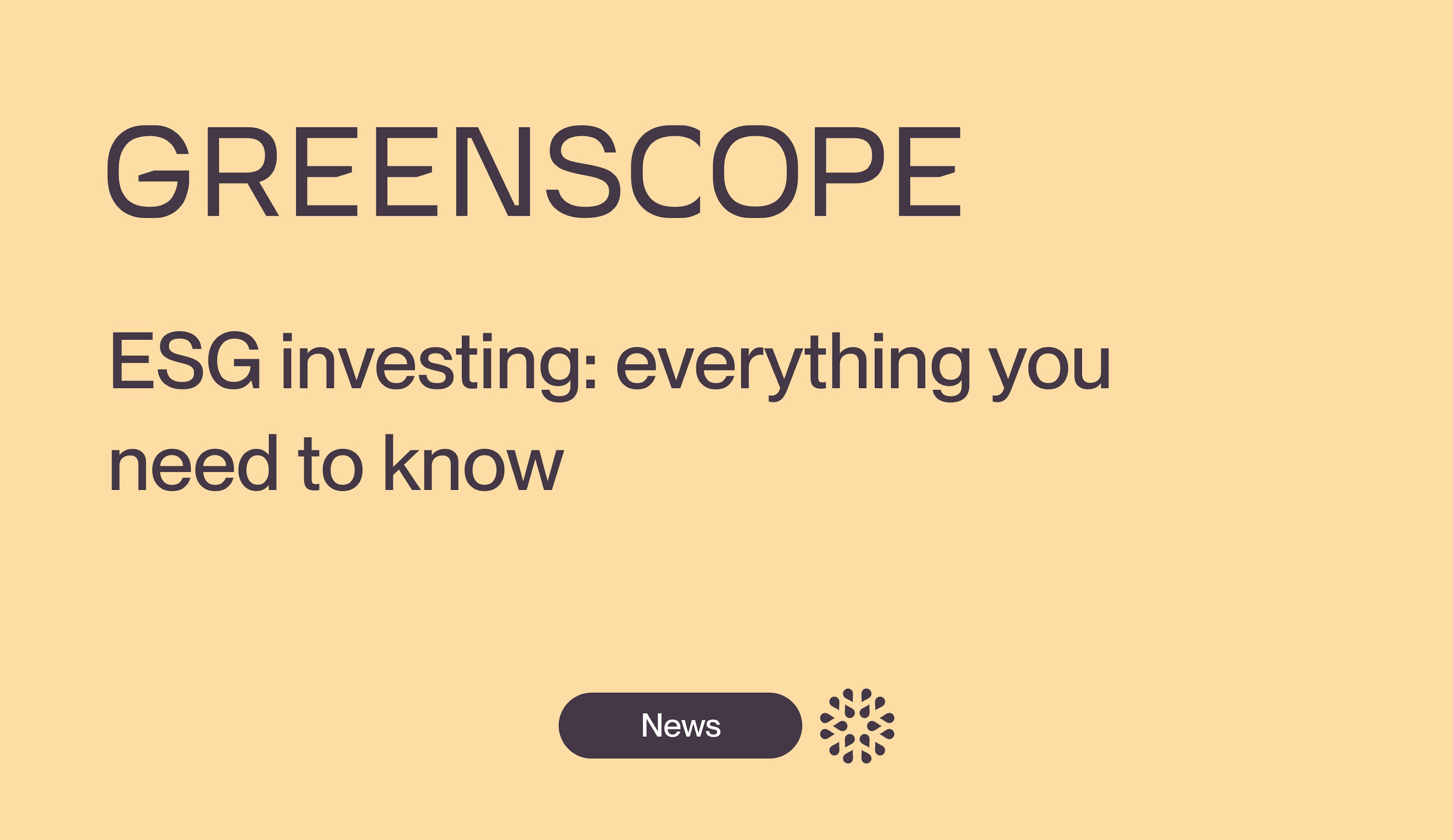 investment sustainable esg