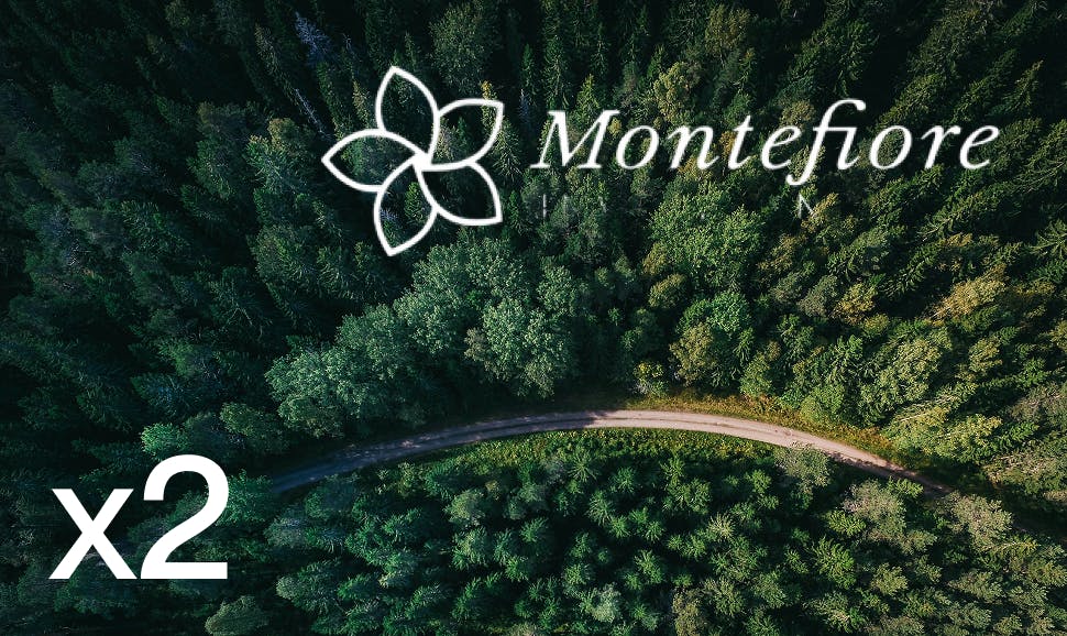 Montefiore Investments ESG sustainability