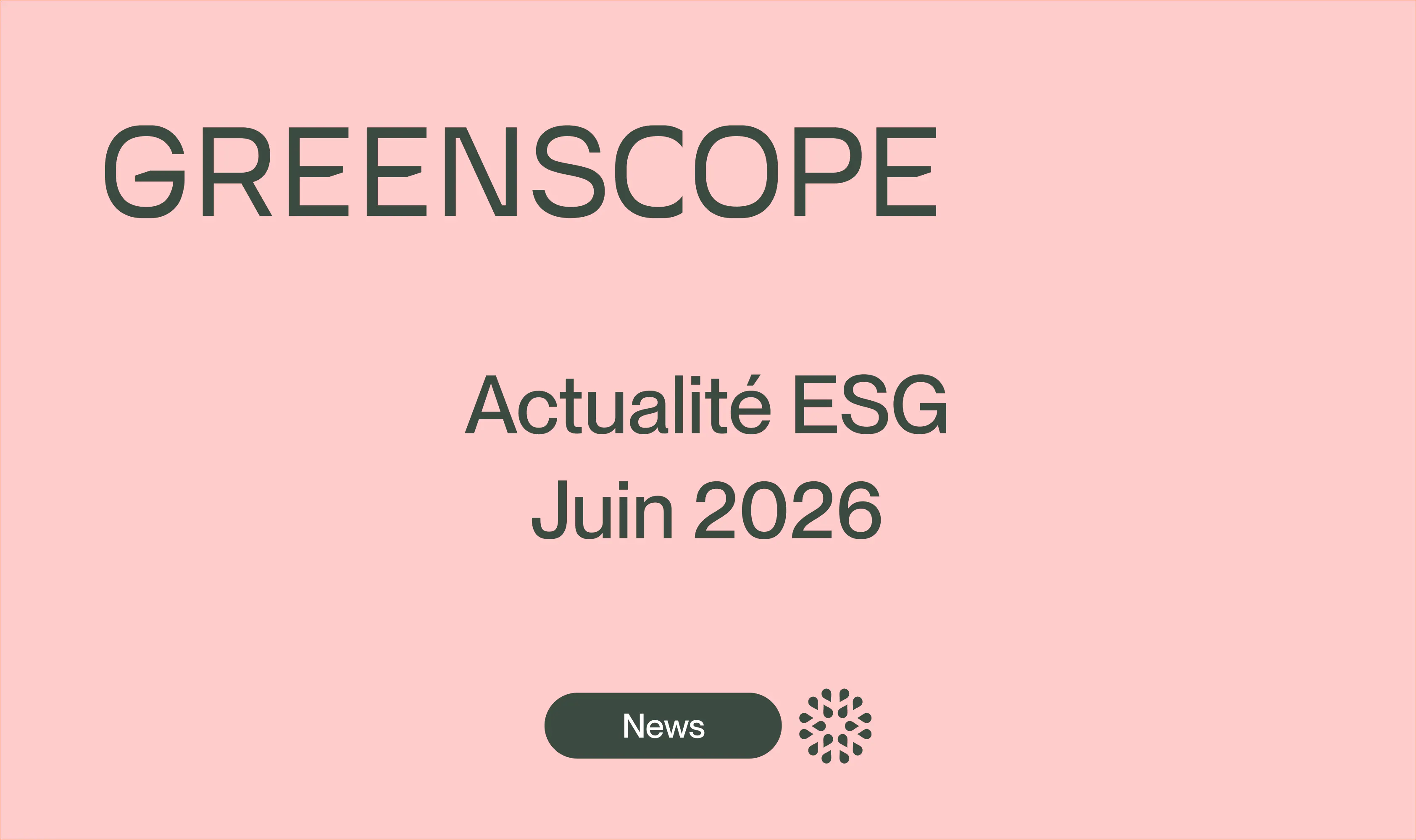 newsletter