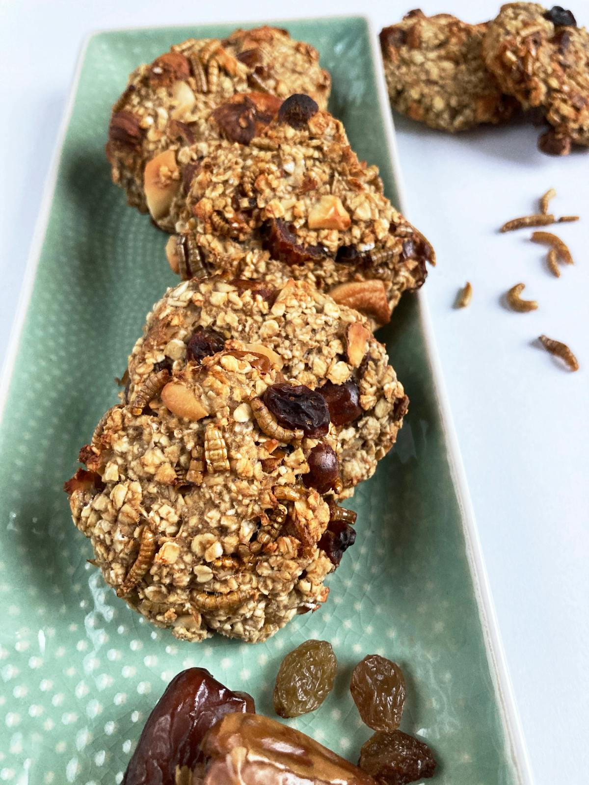 Front view of mealworm oatmeal cookies on a tray