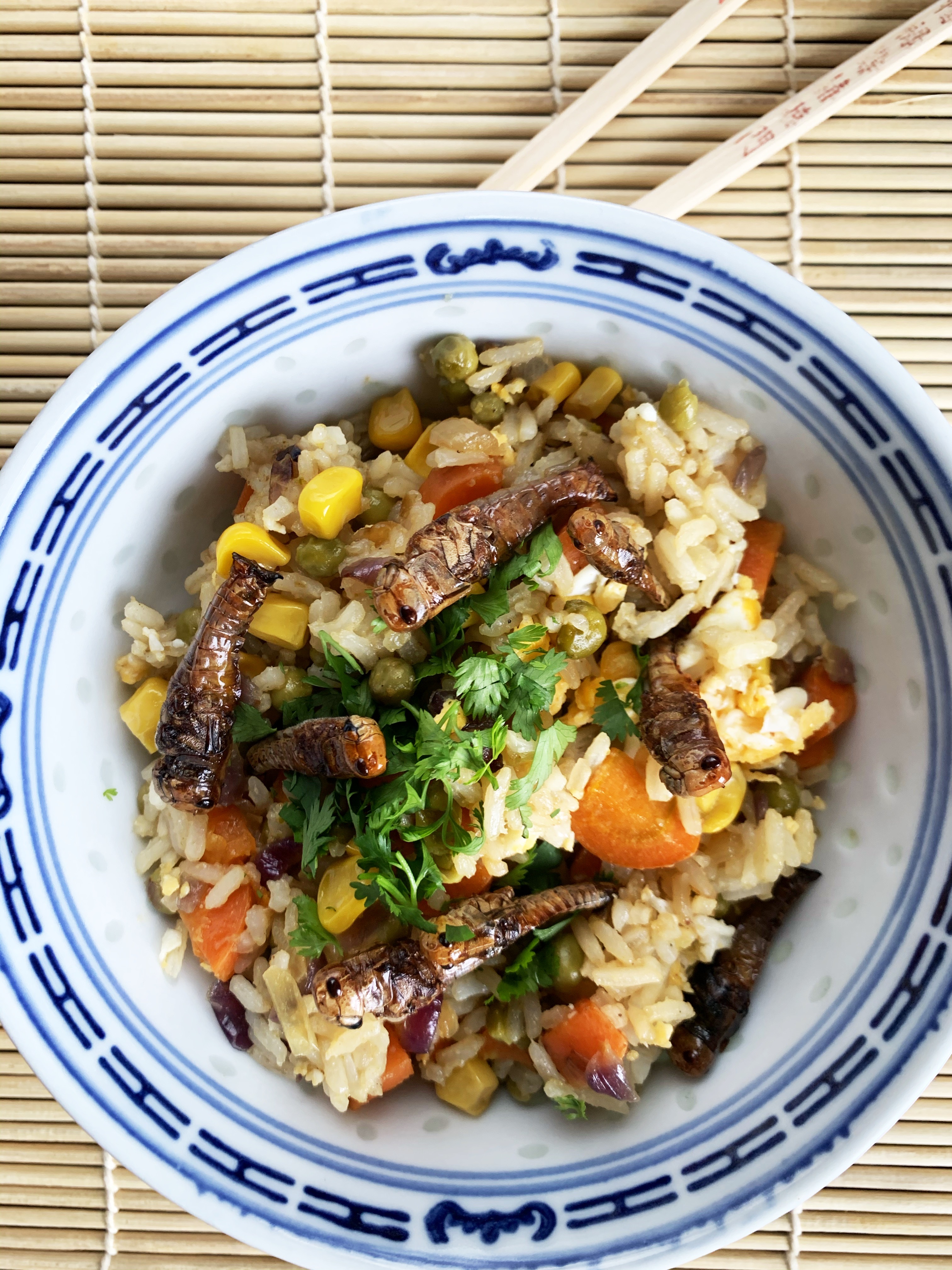 Fried rice topped with grasshoppers