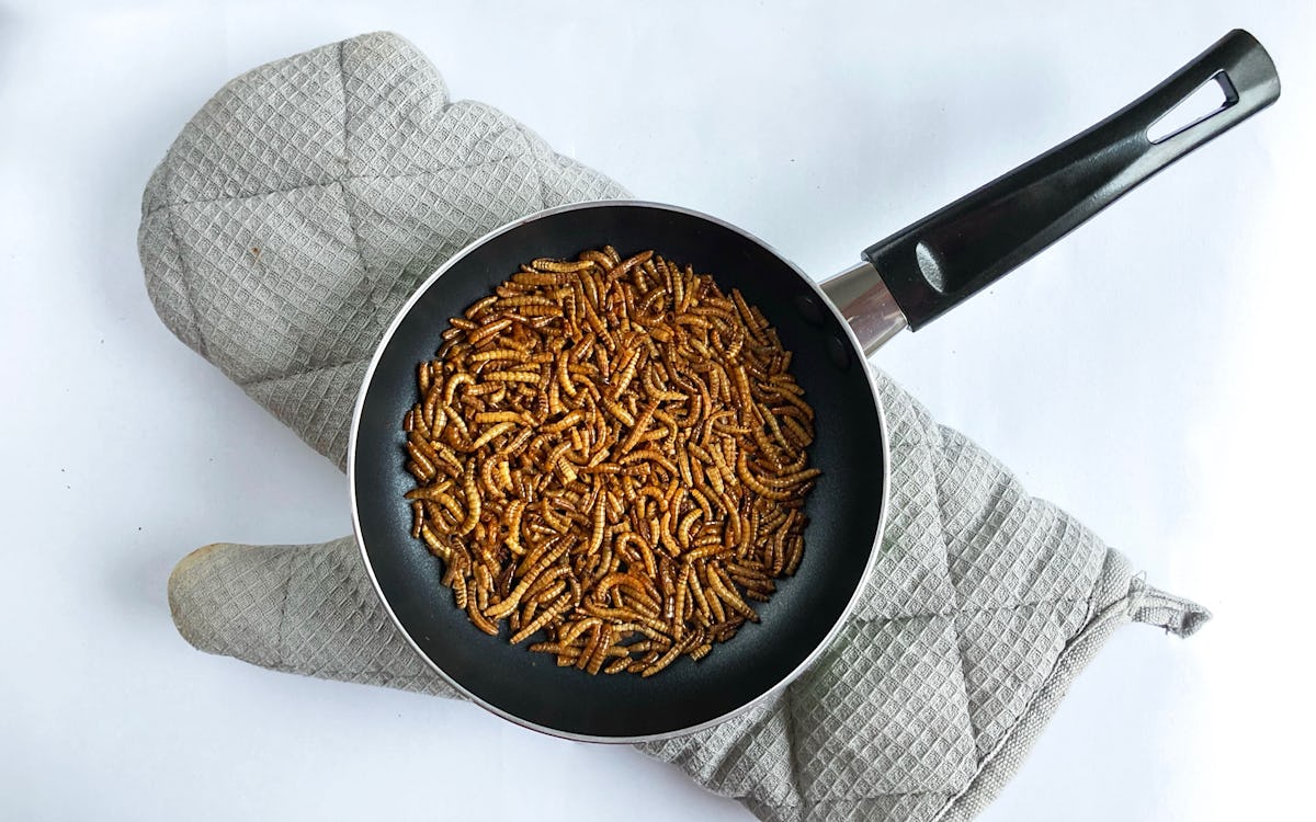 Mealworms ready to be fried in a pan