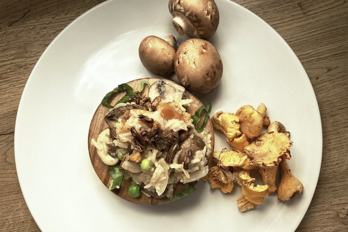 Mushroom Risotto with Crickets