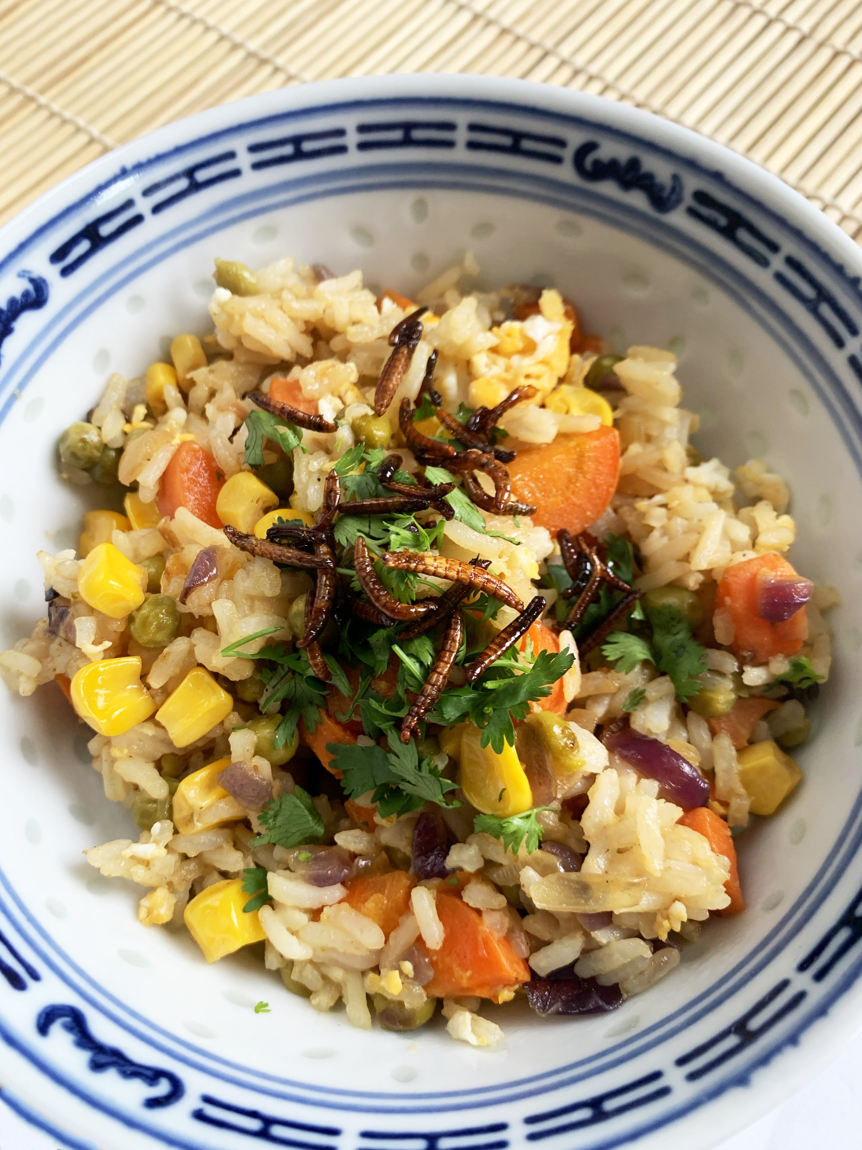 Fried rice in a bowl topped with mealworms